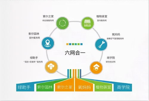 園林綠化廣告宣傳與軟件開發(fā) 如何通過網(wǎng)絡(luò)營銷接大工程訂單